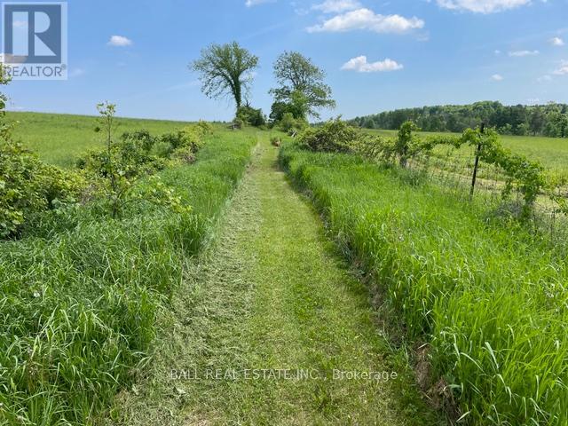 239 Concession 11w, Trent Hills, Ontario  K0L 1Y0 - Photo 8 - X12861196