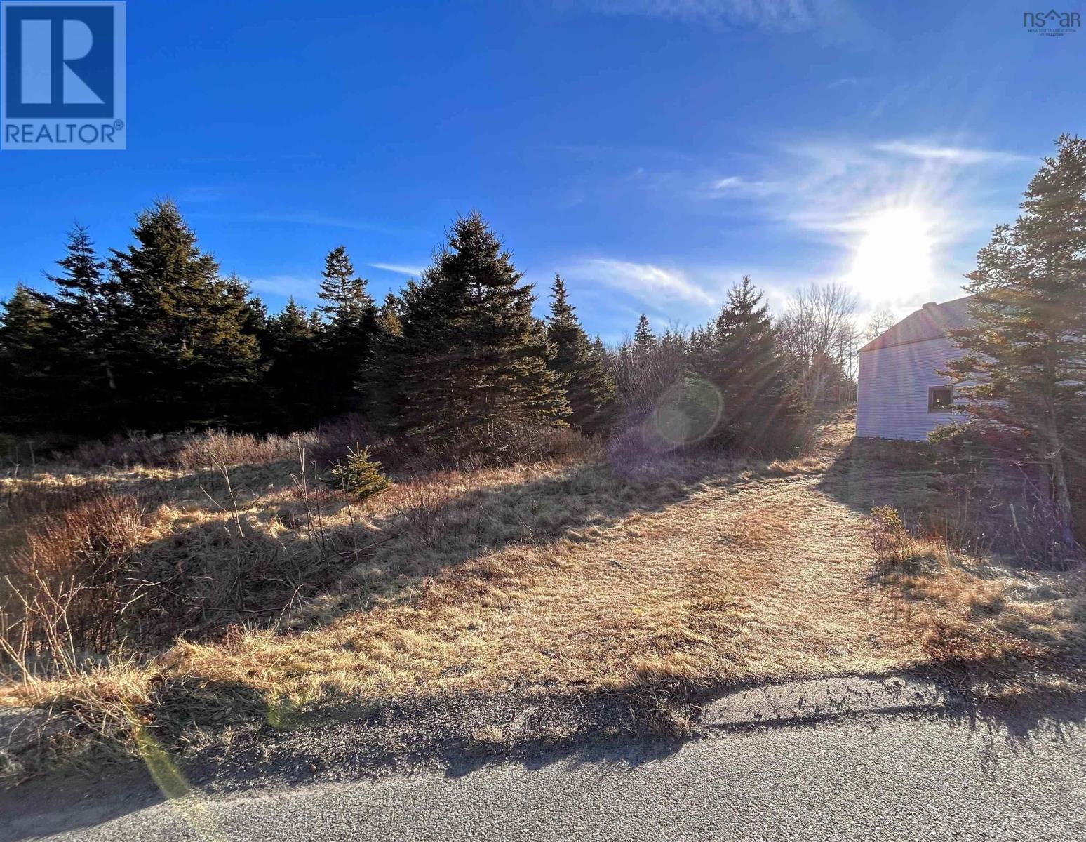 Highway 16, Hazel Hill, Nova Scotia  B0H 1H0 - Photo 5 - 202604142