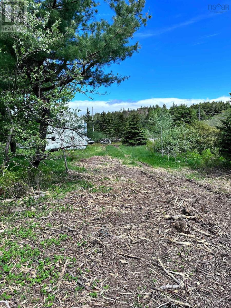 Highway 16, Hazel Hill, Nova Scotia  B0H 1H0 - Photo 6 - 202604142