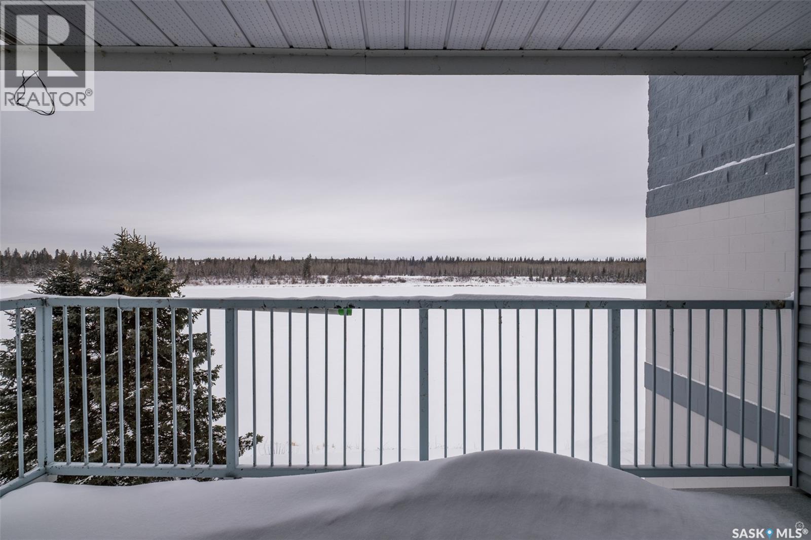 4a 516 River Street E, Prince Albert, Saskatchewan  S6V 0A6 - Photo 25 - SK029865