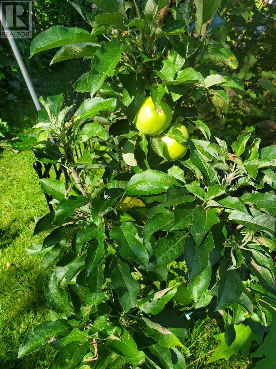 154 Brien Ave, Sault Ste. Marie, Ontario  P6B 2Y8 - Photo 39 - SM260391