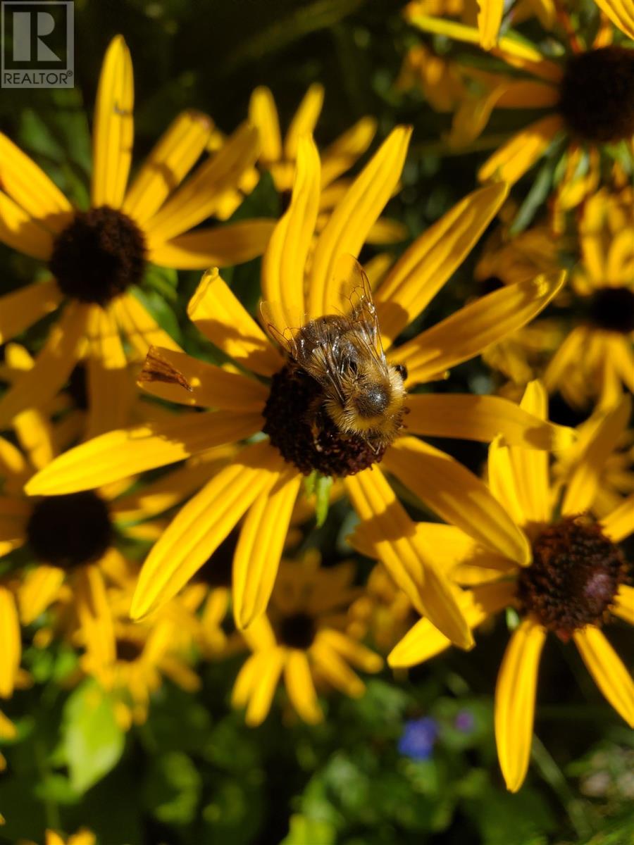 154 Brien Ave, Sault Ste. Marie, Ontario  P6B 2Y8 - Photo 37 - SM260391