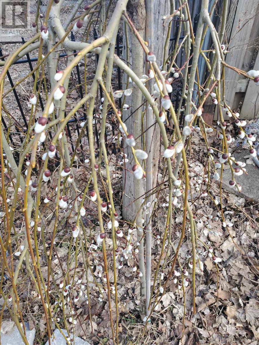 154 Brien Ave, Sault Ste. Marie, Ontario  P6B 2Y8 - Photo 40 - SM260391