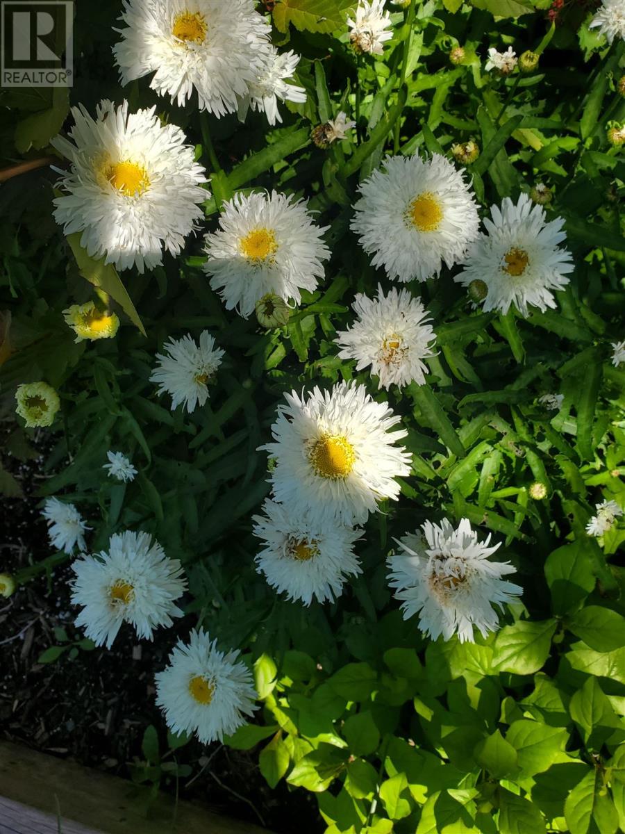 154 Brien Ave, Sault Ste. Marie, Ontario  P6B 2Y8 - Photo 42 - SM260391