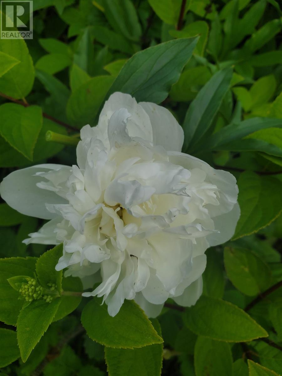 154 Brien Ave, Sault Ste. Marie, Ontario  P6B 2Y8 - Photo 38 - SM260391