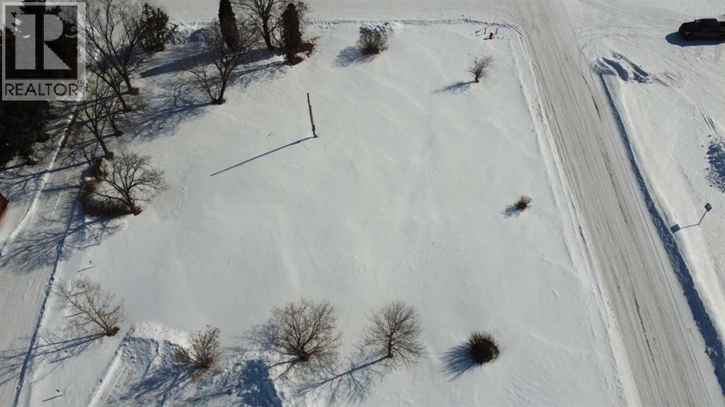 5010 54 Street, Daysland, Alberta  T0B 1A0 - Photo 3 - A2290497