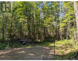 2244 YEARLEY ROAD, mcmurrich/monteith (mcmurrich), Ontario