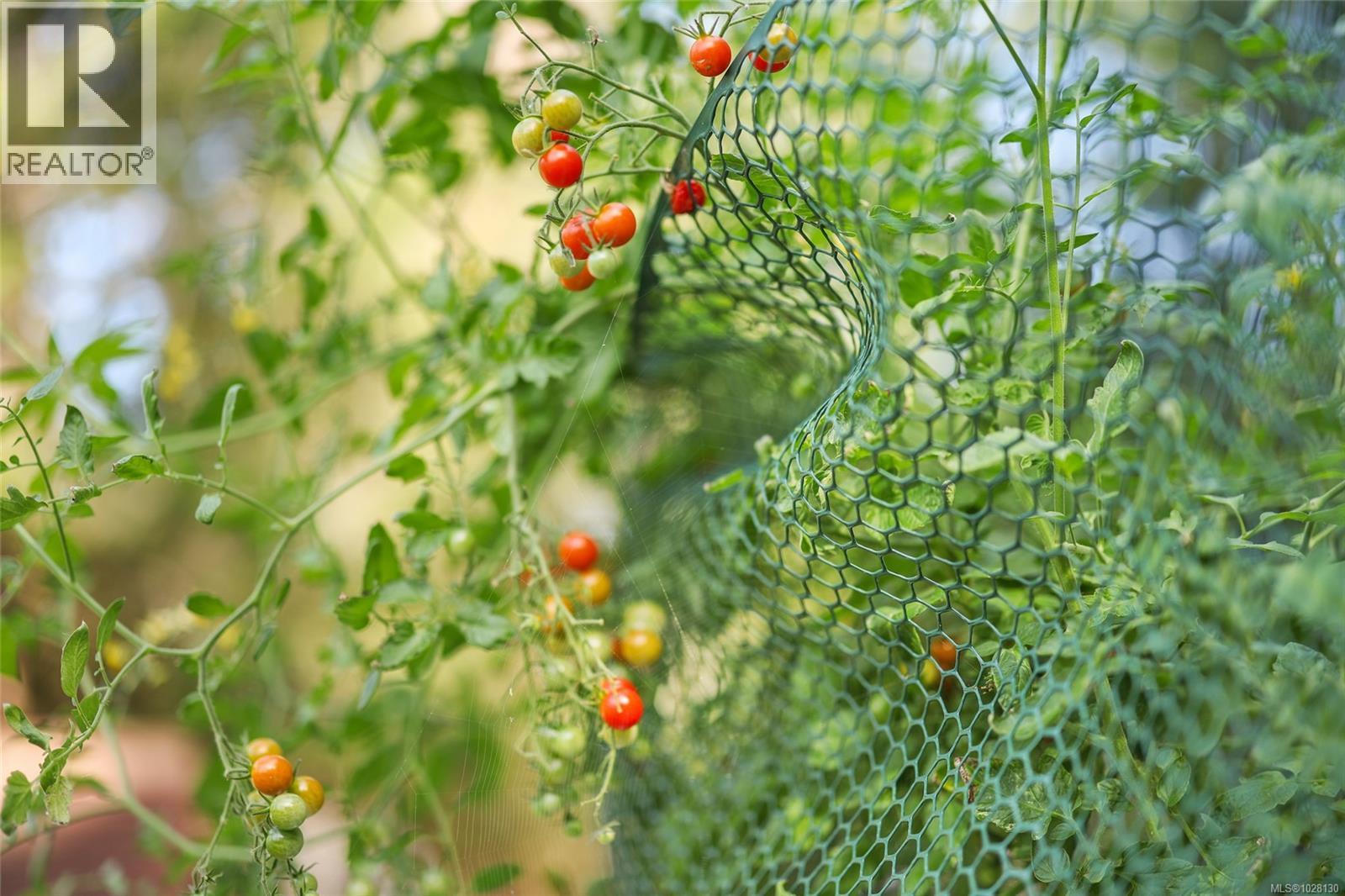 6235 Karen Pl, Port Alberni, British Columbia  V9Y 8K9 - Photo 57 - 1028130