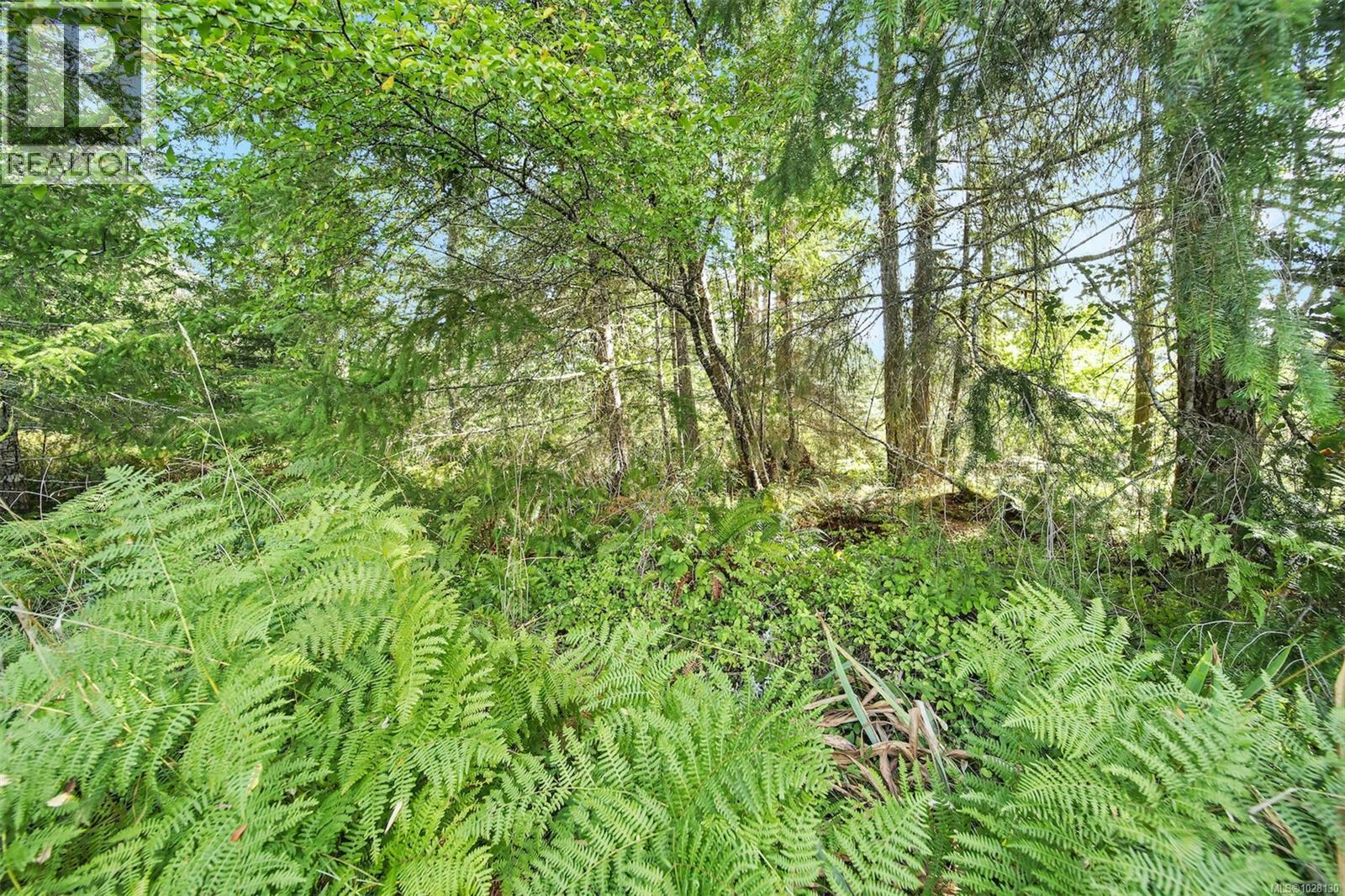 6235 Karen Pl, Port Alberni, British Columbia  V9Y 8K9 - Photo 59 - 1028130