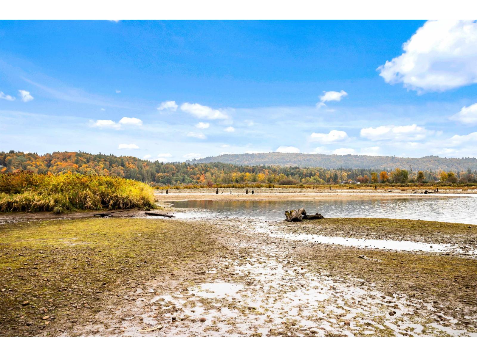 21 10221 Wilson Street, Mission, British Columbia  V2V 6H5 - Photo 29 - R3097363