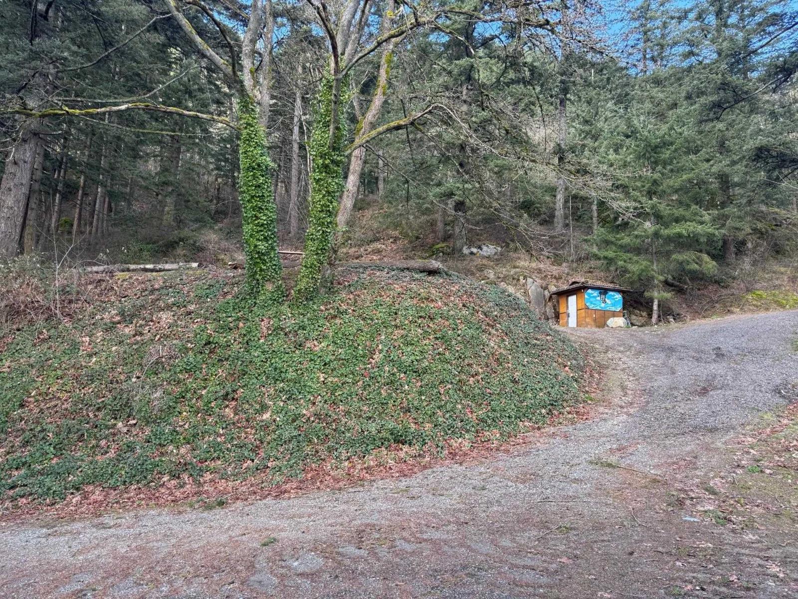 3099 Lougheed Highway, Mt Woodside, Agassiz, British Columbia  V0M 1A1 - Photo 8 - R3096561