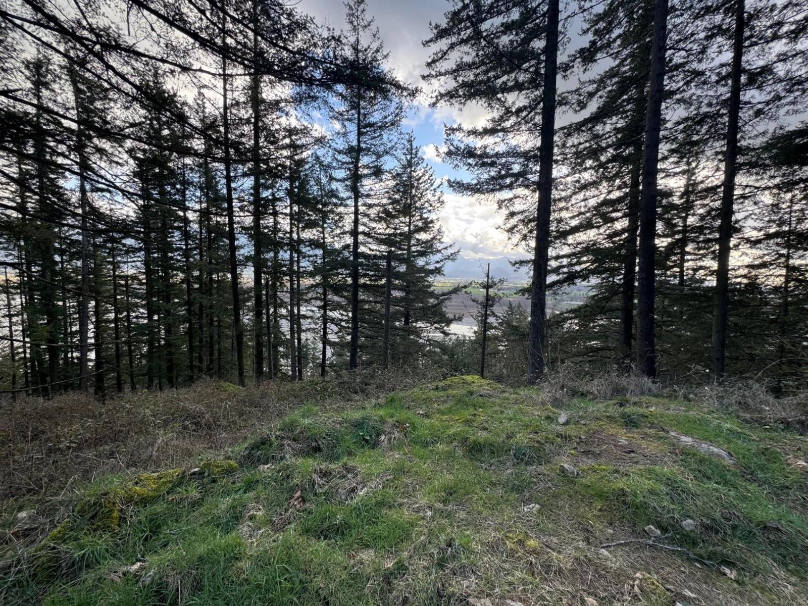 3099 Lougheed Highway, Mt Woodside, Agassiz, British Columbia  V0M 1A1 - Photo 25 - R3096561