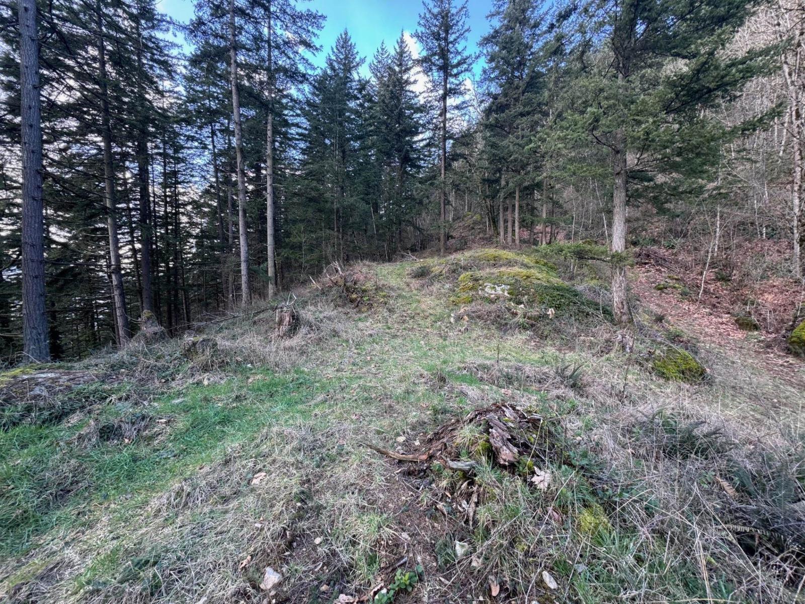 3099 Lougheed Highway, Mt Woodside, Agassiz, British Columbia  V0M 1A1 - Photo 23 - R3096561