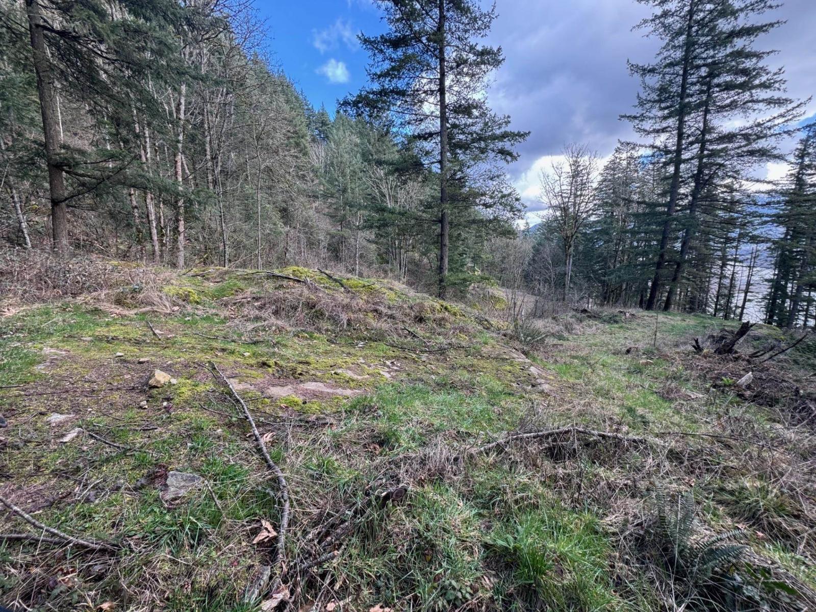 3099 Lougheed Highway, Mt Woodside, Agassiz, British Columbia  V0M 1A1 - Photo 22 - R3096561