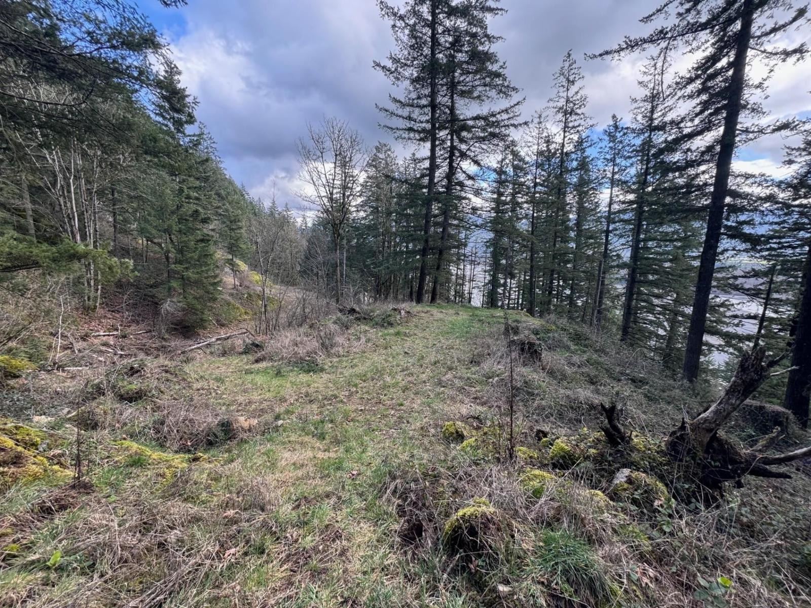 3099 Lougheed Highway, Mt Woodside, Agassiz, British Columbia  V0M 1A1 - Photo 24 - R3096561