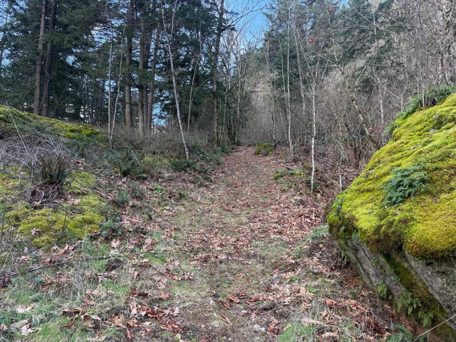 3099 Lougheed Highway, Mt Woodside, Agassiz, British Columbia  V0M 1A1 - Photo 28 - R3096561