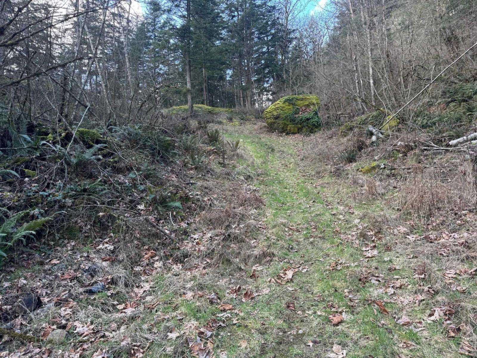 3099 Lougheed Highway, Mt Woodside, Agassiz, British Columbia  V0M 1A1 - Photo 27 - R3096561