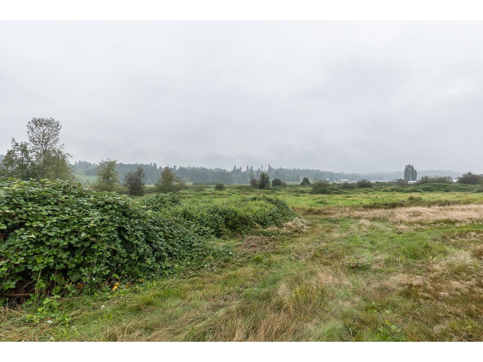 31211 Olund Road, Abbotsford, British Columbia  V4X 1Z9 - Photo 23 - R3096107