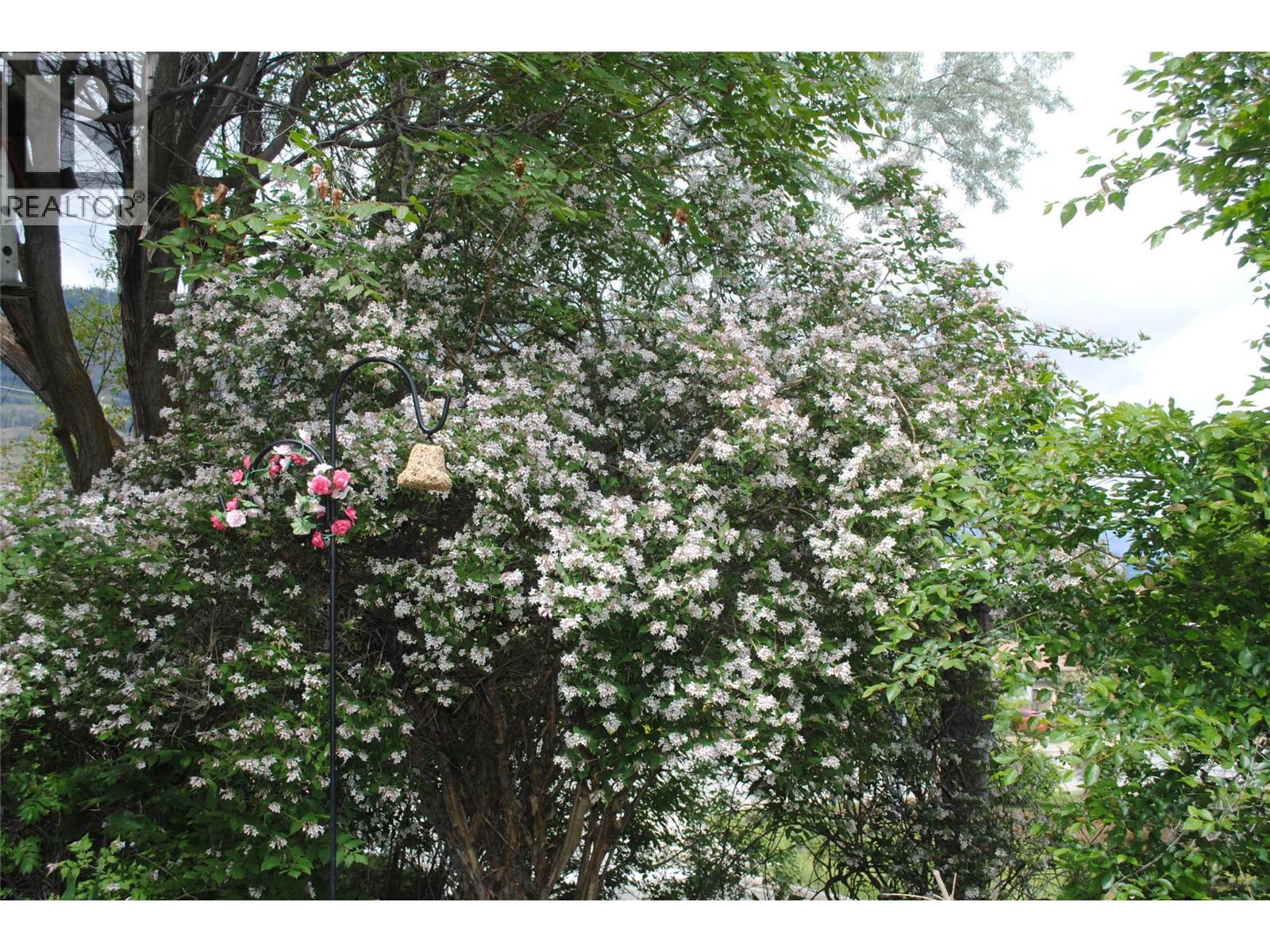 3 Dogwood Place, Osoyoos, British Columbia  V0H 1V1 - Photo 41 - 10378285