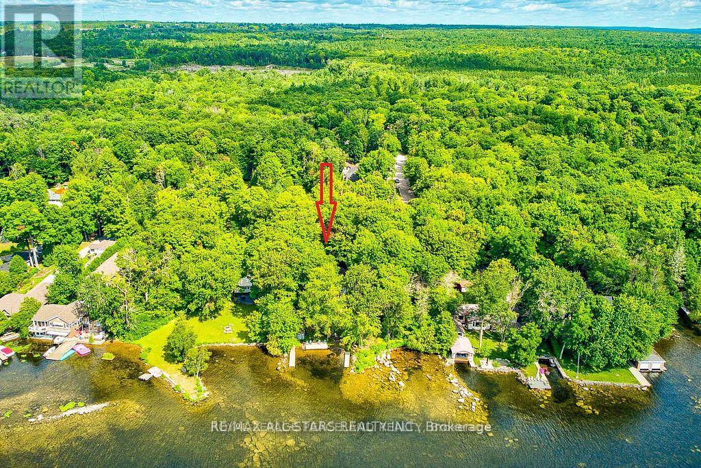 317 Riverside Drive, Kawartha Lakes, Ontario  K0M 1A0 - Photo 7 - X12861978