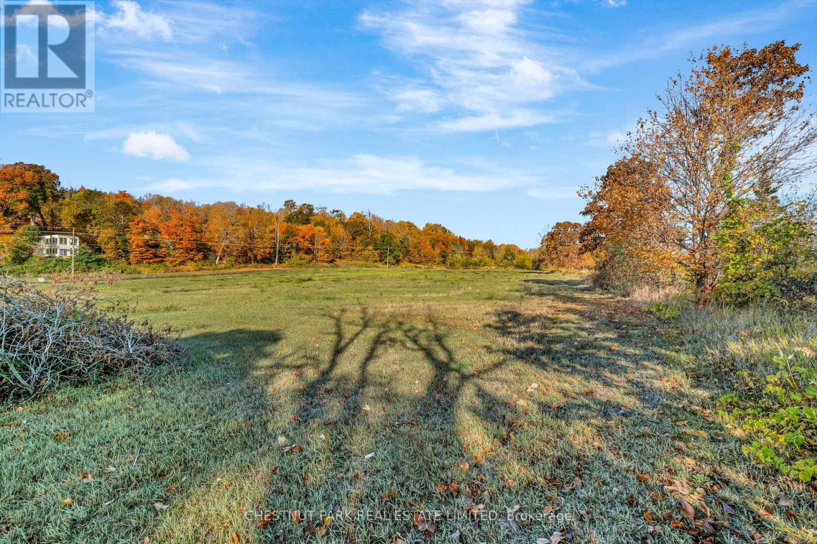 4176 County Road 8, Prince Edward County, Ontario  K0K 2T0 - Photo 21 - X12862104