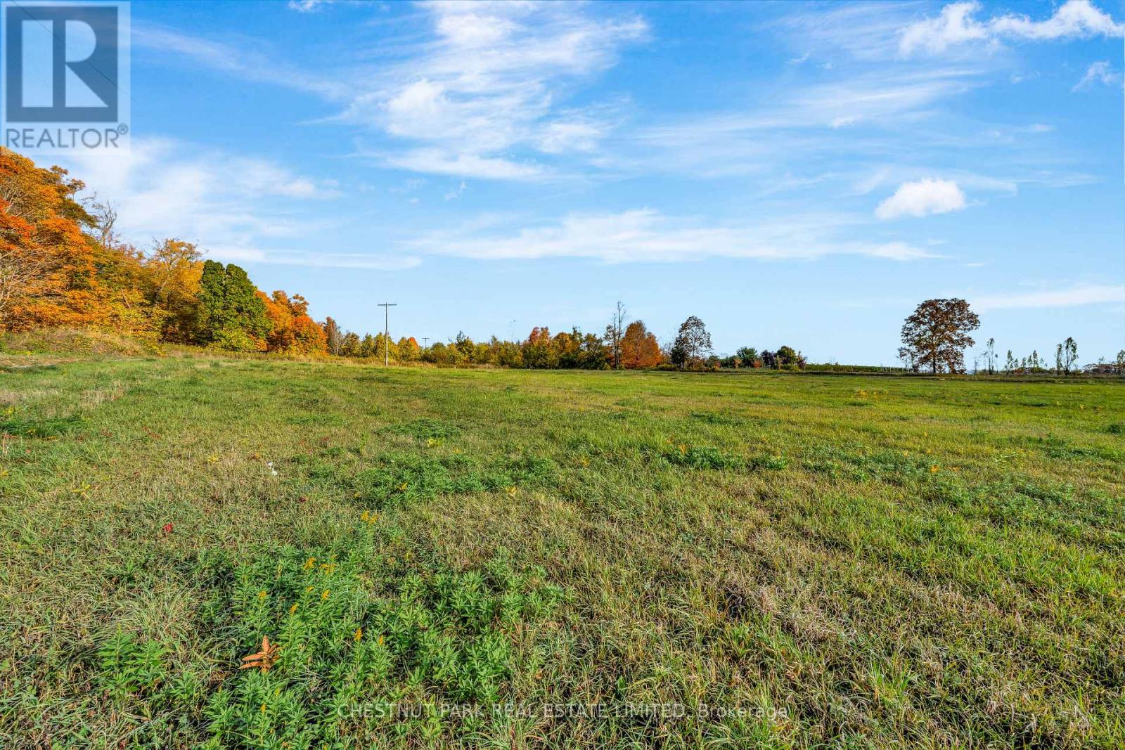 4176 County Road 8, Prince Edward County, Ontario  K0K 2T0 - Photo 27 - X12862104