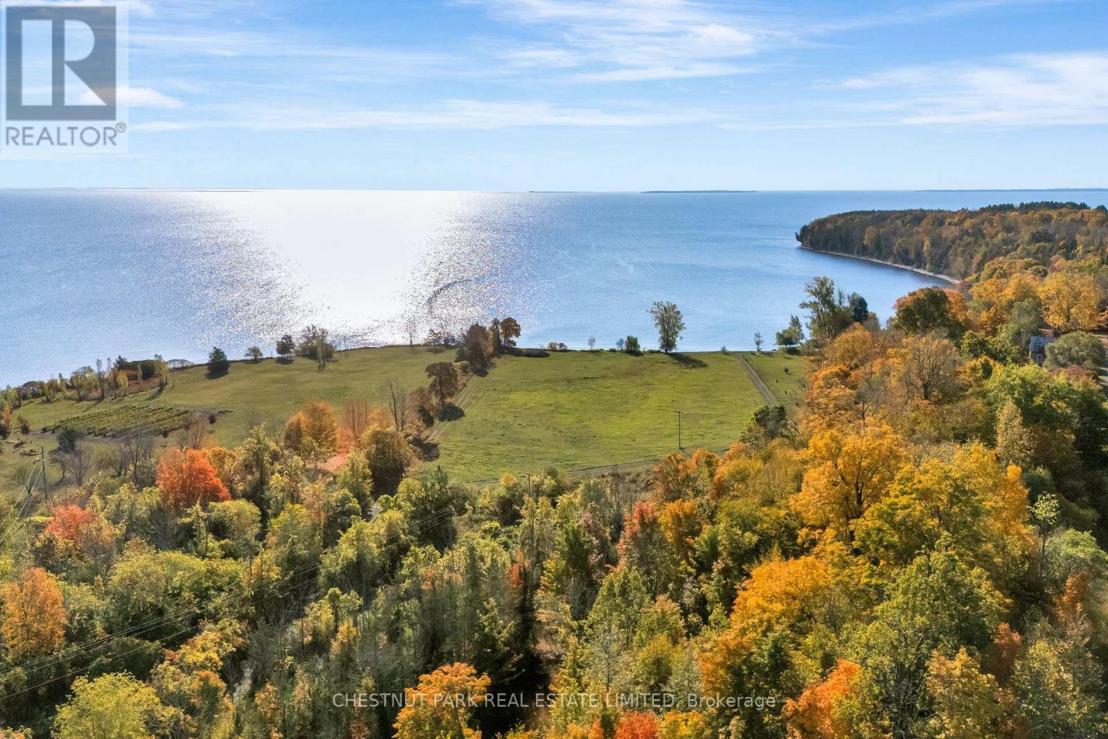 4176 County Road 8, Prince Edward County, Ontario  K0K 2T0 - Photo 3 - X12862104