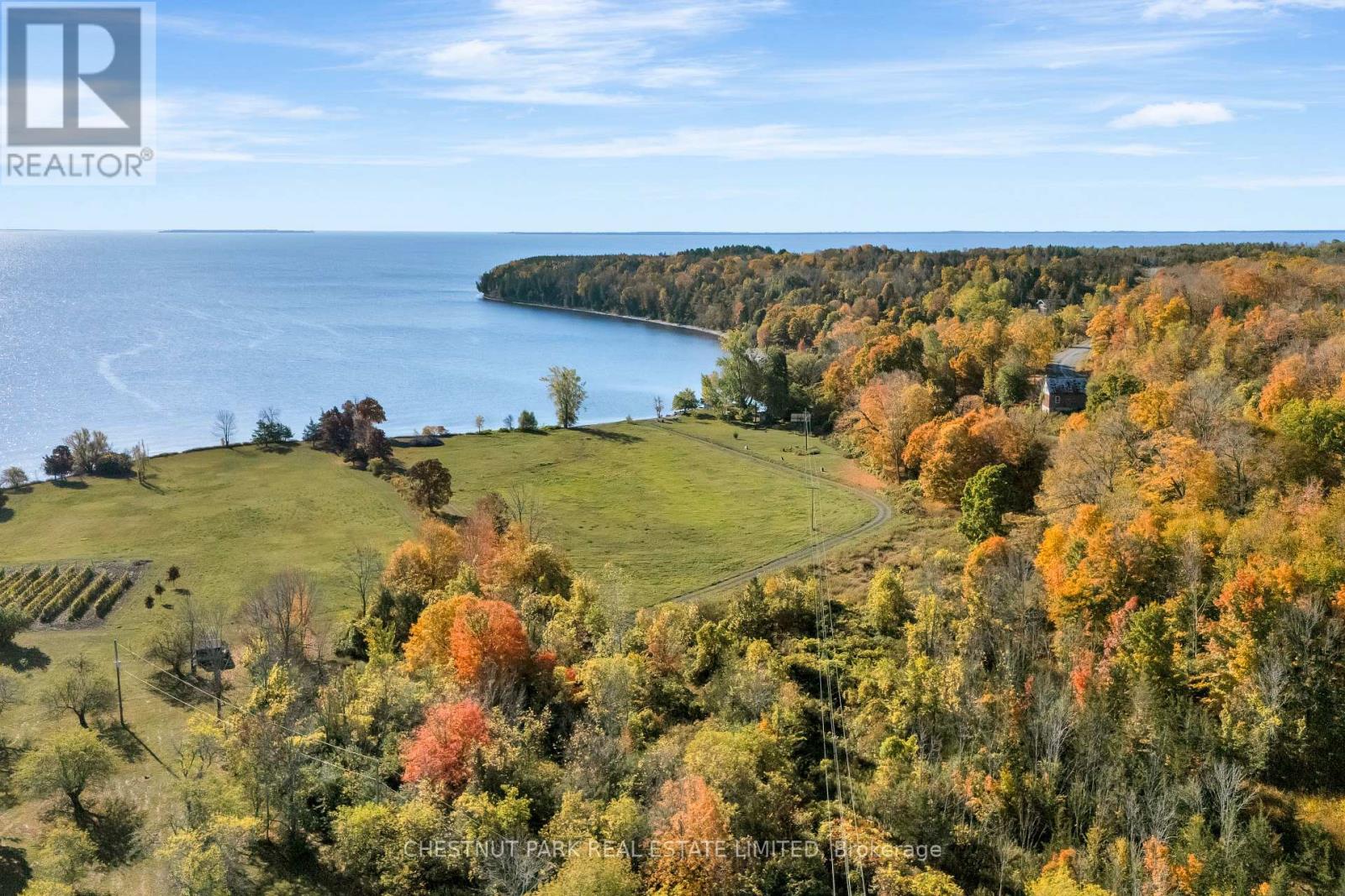 4176 County Road 8, Prince Edward County, Ontario  K0K 2T0 - Photo 4 - X12862104