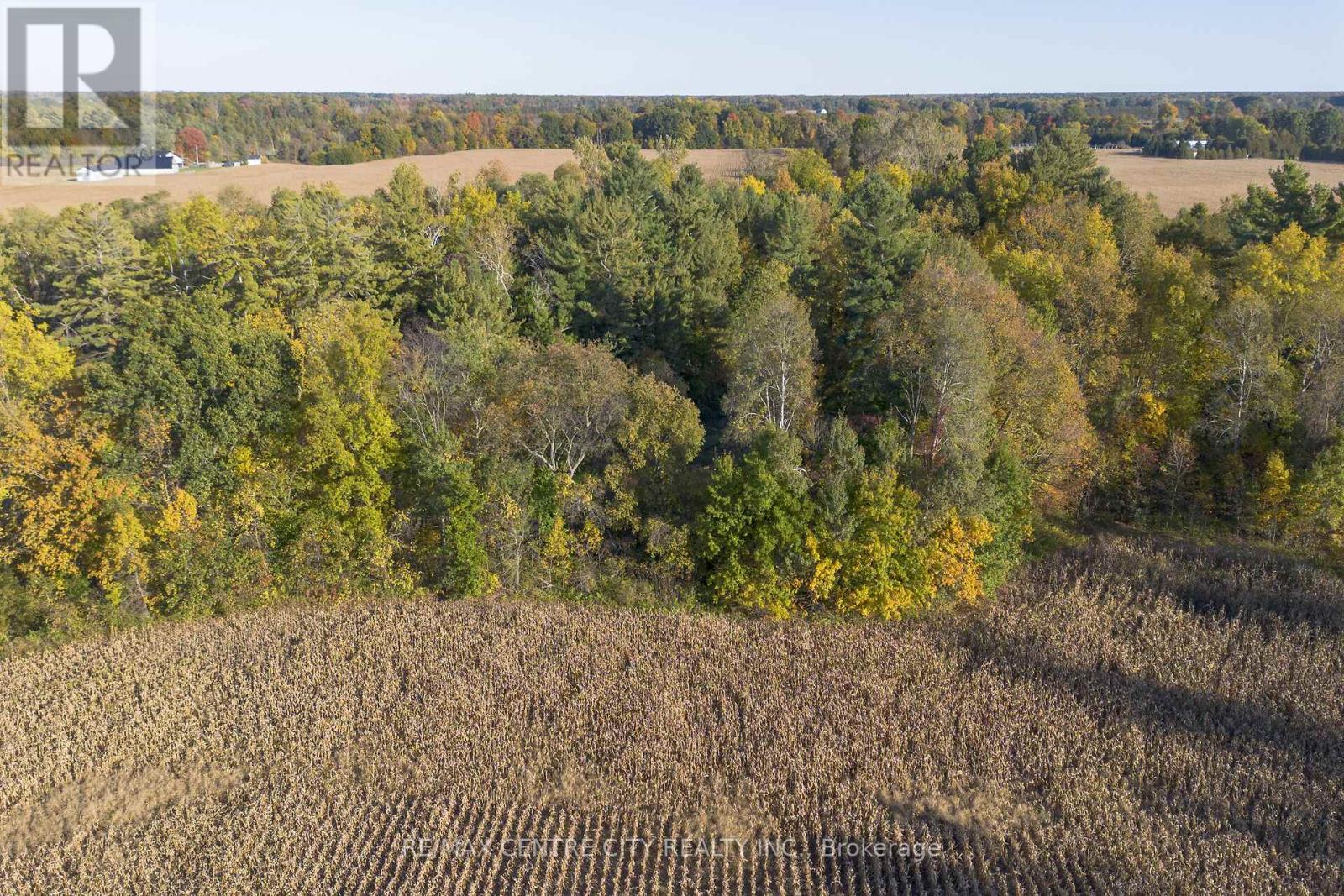 1496 Elgin Cty Rd 55 Road, Norfolk, Ontario  N0J 1Y0 - Photo 41 - X12862094