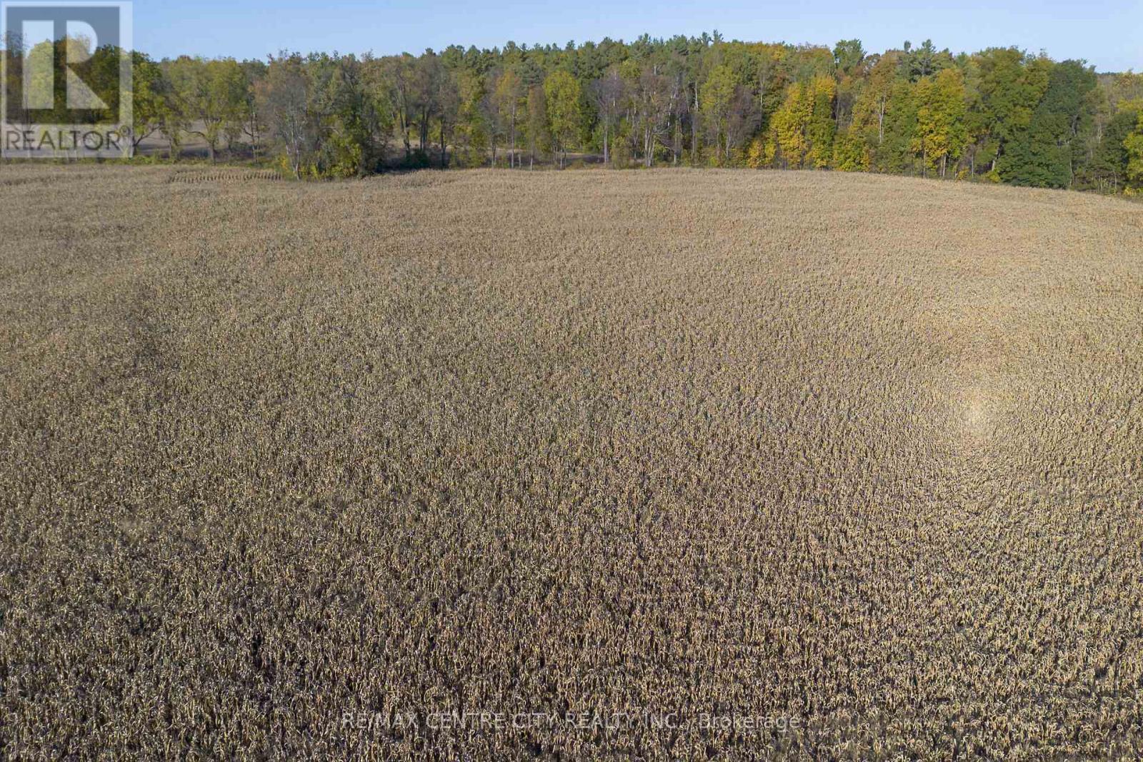 1496 Elgin Cty Rd 55 Road, Norfolk, Ontario  N0J 1Y0 - Photo 43 - X12862094