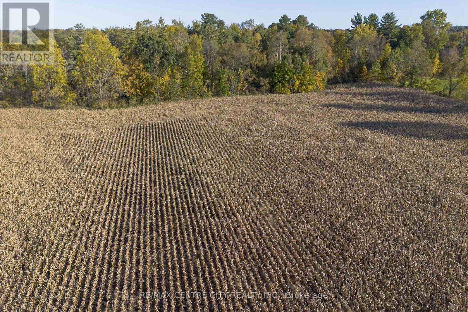 1496 Elgin Cty Rd 55 Road, Norfolk, Ontario  N0J 1Y0 - Photo 44 - X12862094