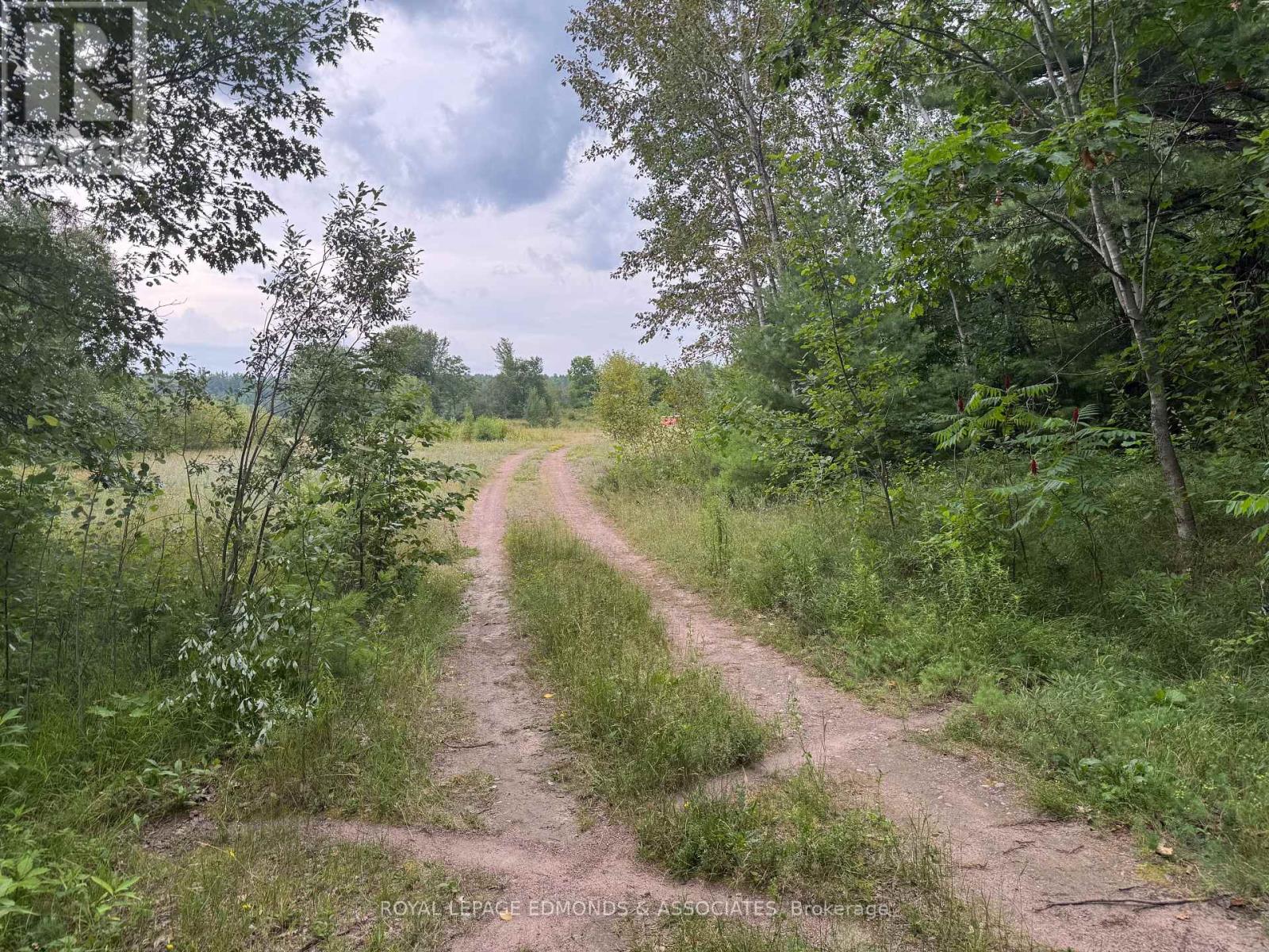 705 Rantz Road, Petawawa, Ontario  K8H 2W8 - Photo 3 - X12862024