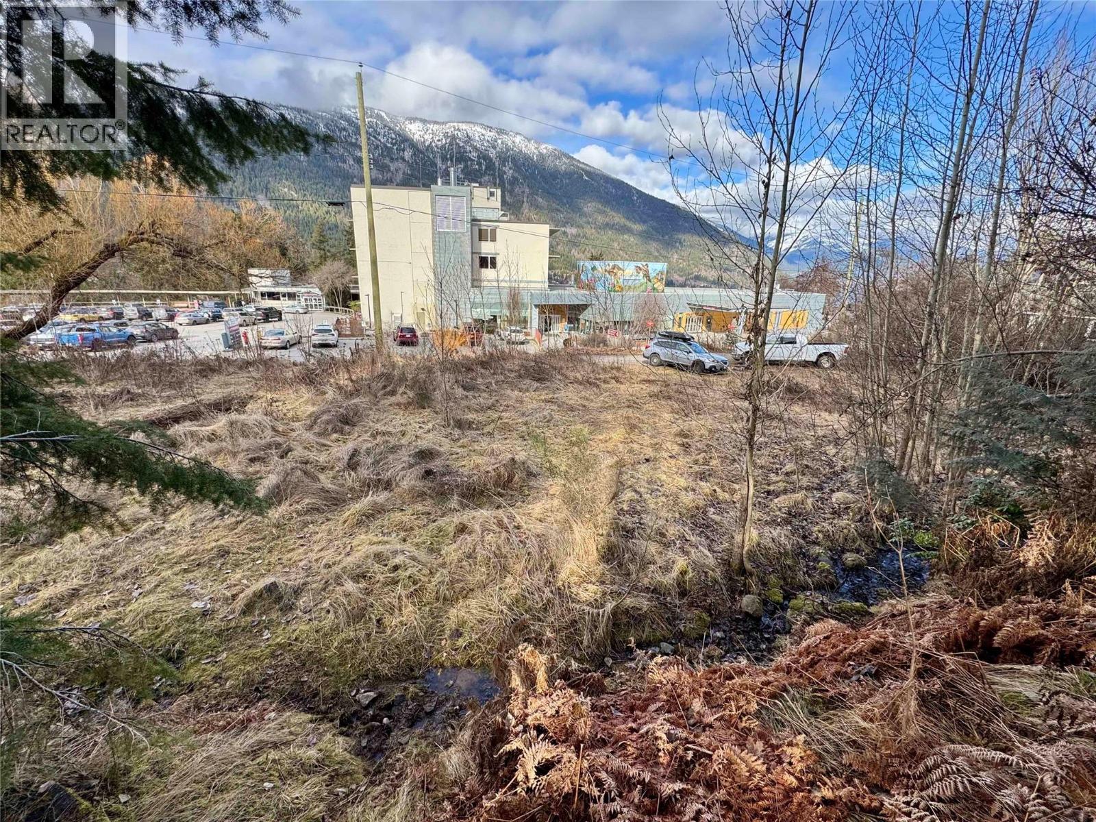 8, 10 & 16 View Street, Nelson, British Columbia  V1L 2V2 - Photo 4 - 10375397