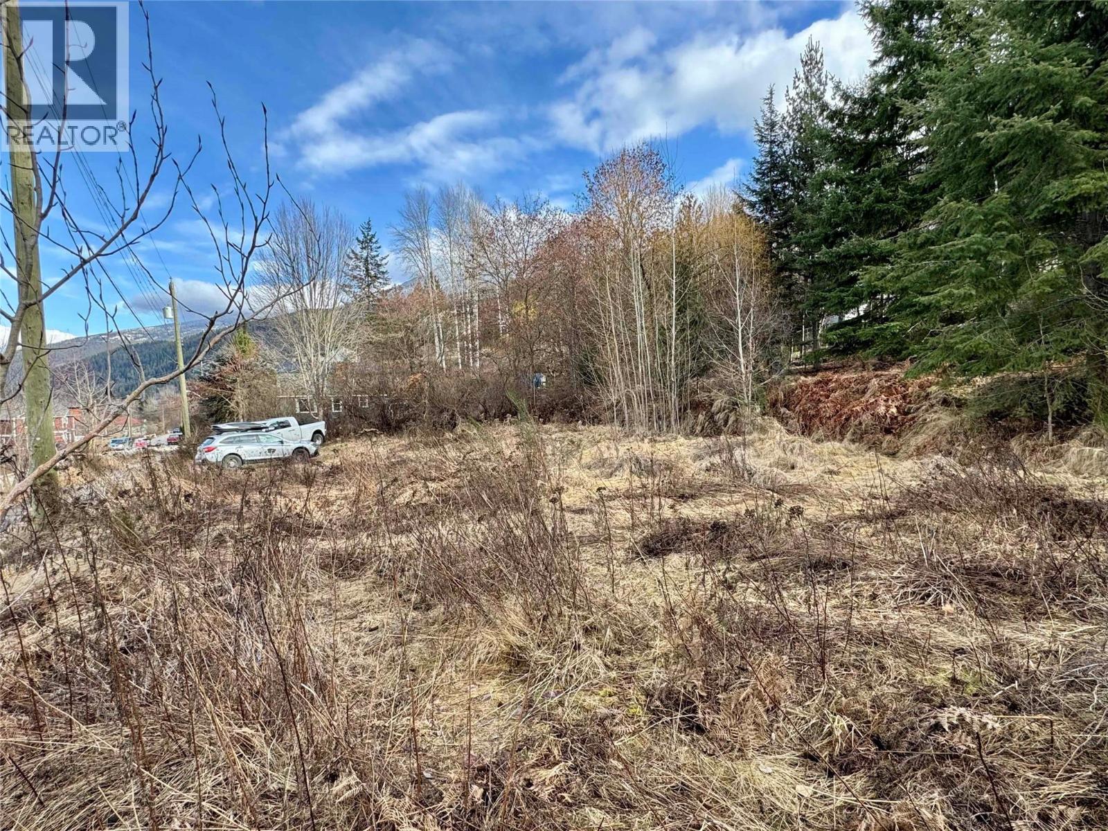 8, 10 & 16 View Street, Nelson, British Columbia  V1L 2V2 - Photo 5 - 10375397