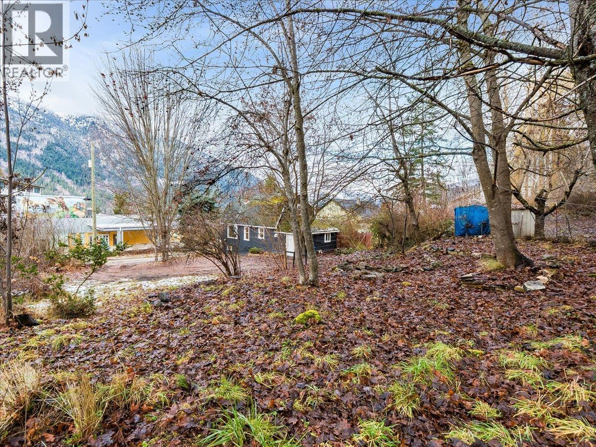 8, 10 & 16 View Street, Nelson, British Columbia  V1L 2V2 - Photo 34 - 10375397