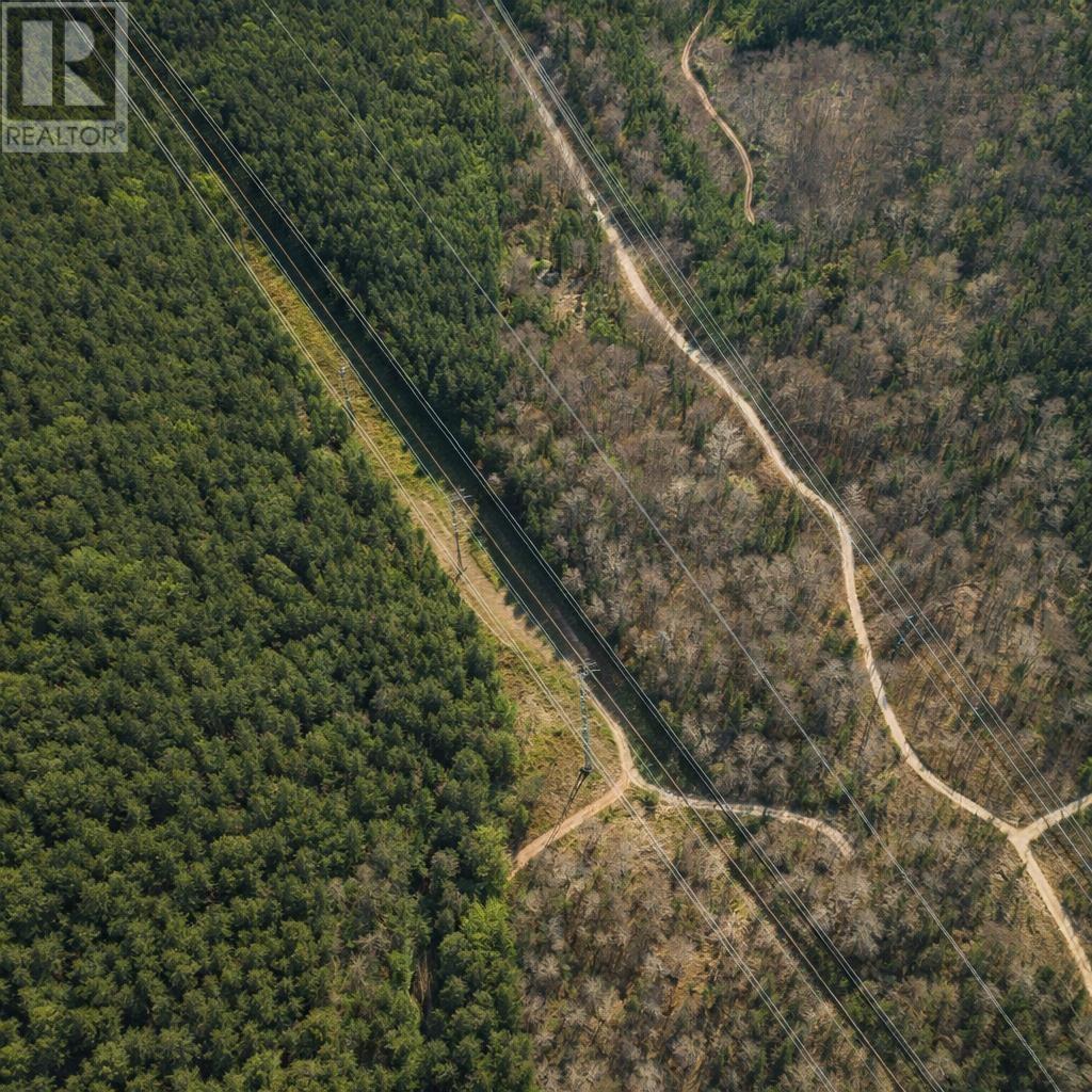 Lot Highway 101, St. Bernard, Nova Scotia  B0W 1J0 - Photo 1 - 202601497