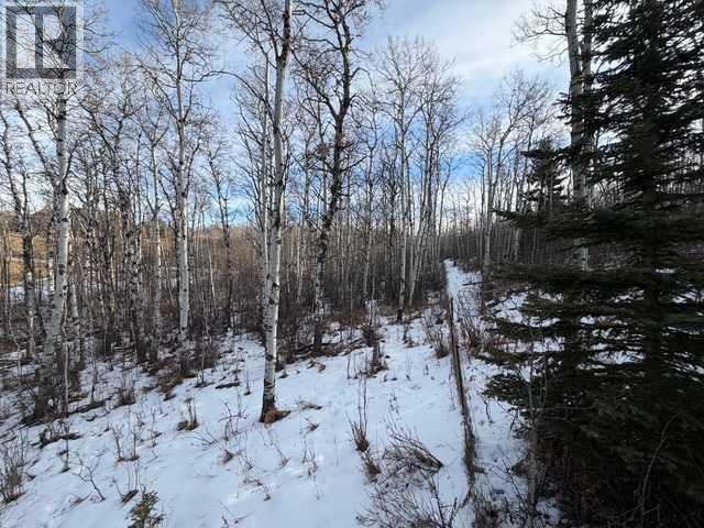 25151 Escarpment Ridge View, Rural Rocky View County, Alberta  T3Z 3M7 - Photo 11 - A2290482