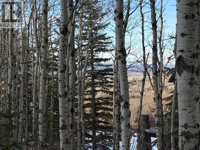 25151 Escarpment Ridge View, Rural Rocky View County, Alberta  T3Z 3M7 - Photo 7 - A2290482