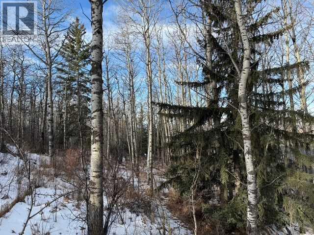 25151 Escarpment Ridge View, Rural Rocky View County, Alberta  T3Z 3M7 - Photo 9 - A2290482