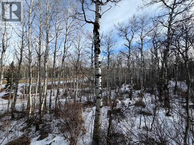 25151 Escarpment Ridge View, Rural Rocky View County, Alberta  T3Z 3M7 - Photo 10 - A2290482