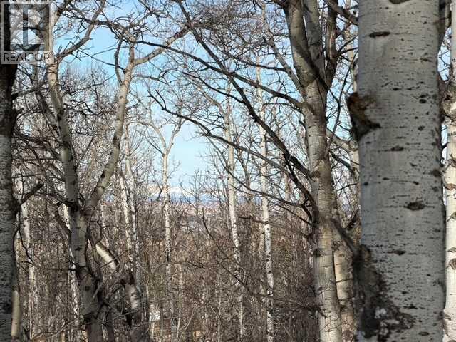 25151 Escarpment Ridge View, Rural Rocky View County, Alberta  T3Z 3M7 - Photo 13 - A2290482