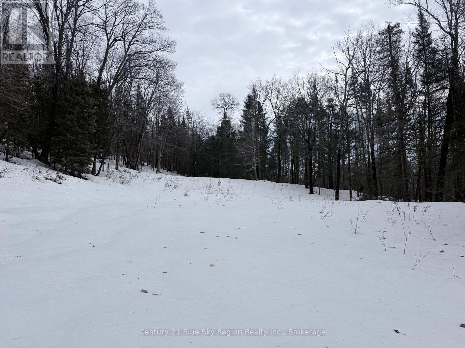 750 Feronia Road, North Bay (Birchaven), Ontario  P1B 8G4 - Photo 4 - X12862360