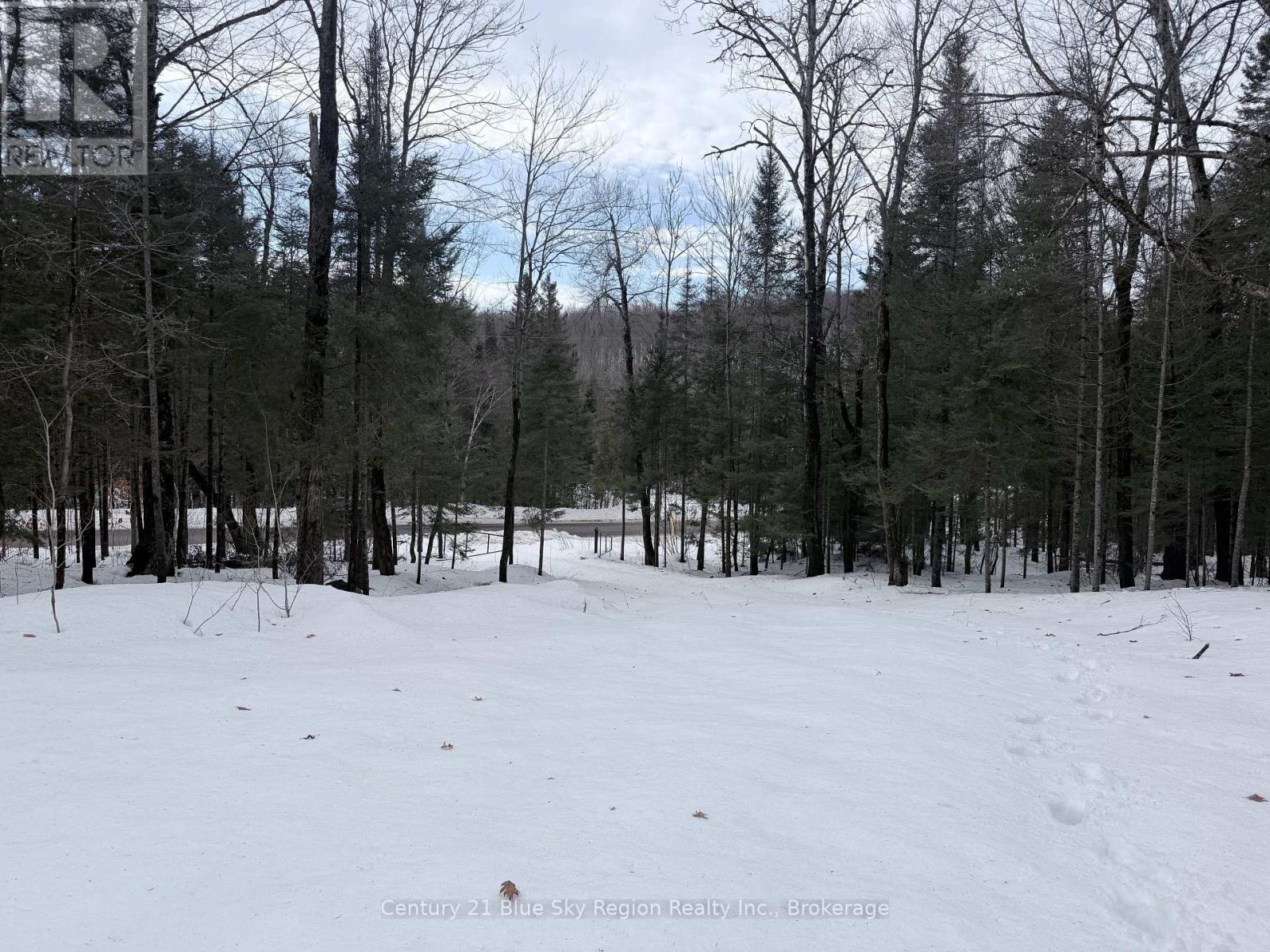 750 Feronia Road, North Bay (Birchaven), Ontario  P1B 8G4 - Photo 5 - X12862360