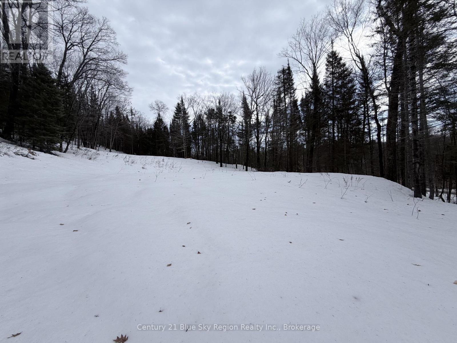 750 Feronia Road, North Bay (Birchaven), Ontario  P1B 8G4 - Photo 6 - X12862360