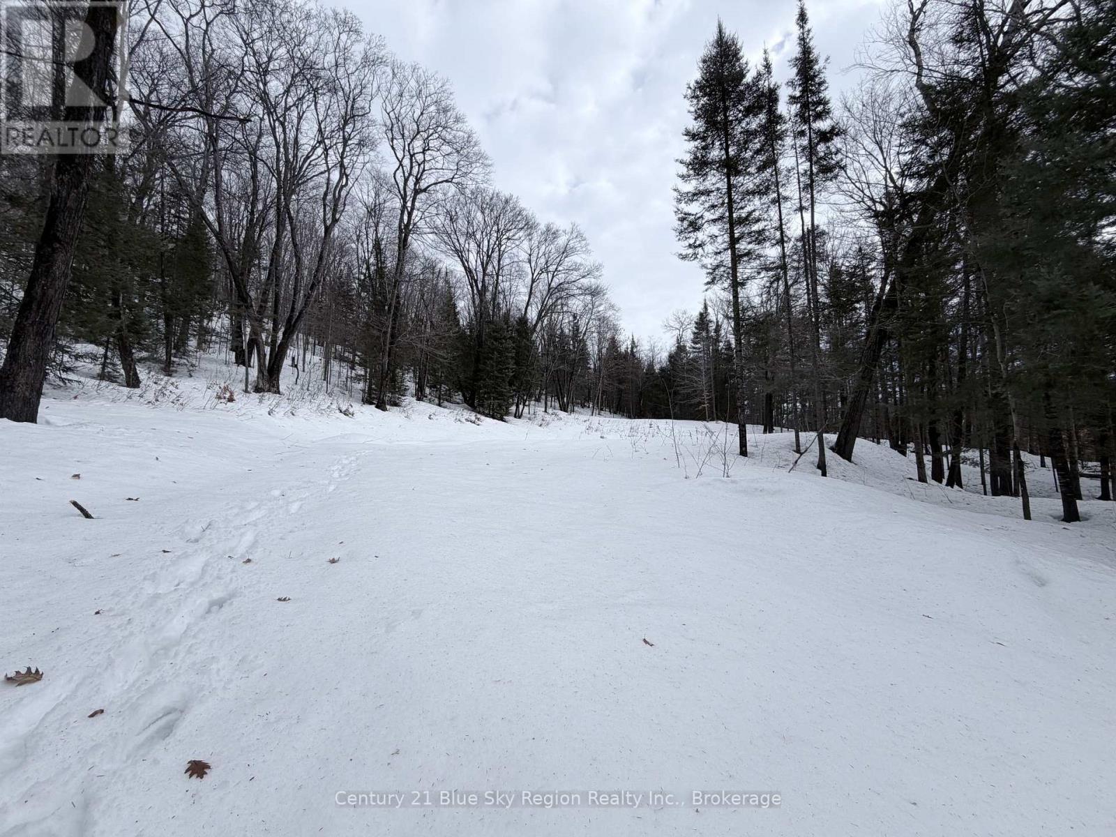 750 Feronia Road, North Bay (Birchaven), Ontario  P1B 8G4 - Photo 8 - X12862360