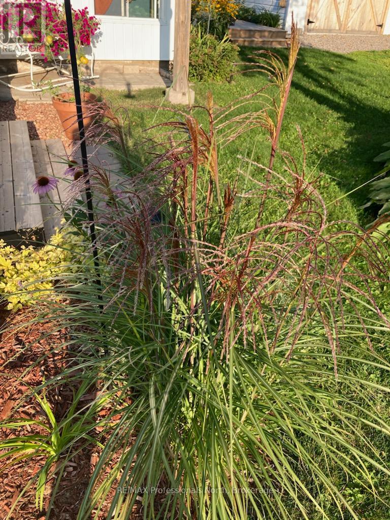 114 Paudash Lake Road, Faraday, Ontario  K0L 1C0 - Photo 40 - X12850526