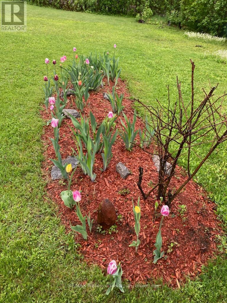 114 Paudash Lake Road, Faraday, Ontario  K0L 1C0 - Photo 41 - X12850526