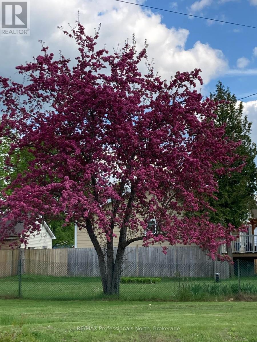 114 Paudash Lake Road, Faraday, Ontario  K0L 1C0 - Photo 44 - X12850526