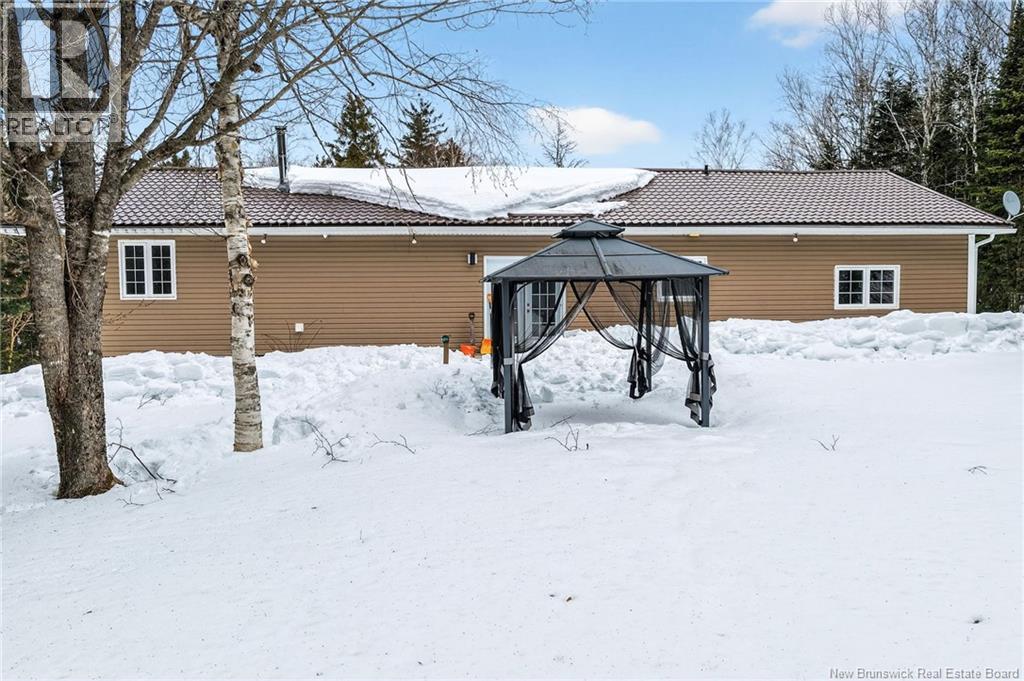 2382 Route 490, Ammon, New Brunswick  E1G 4R8 - Photo 40 - NB134743