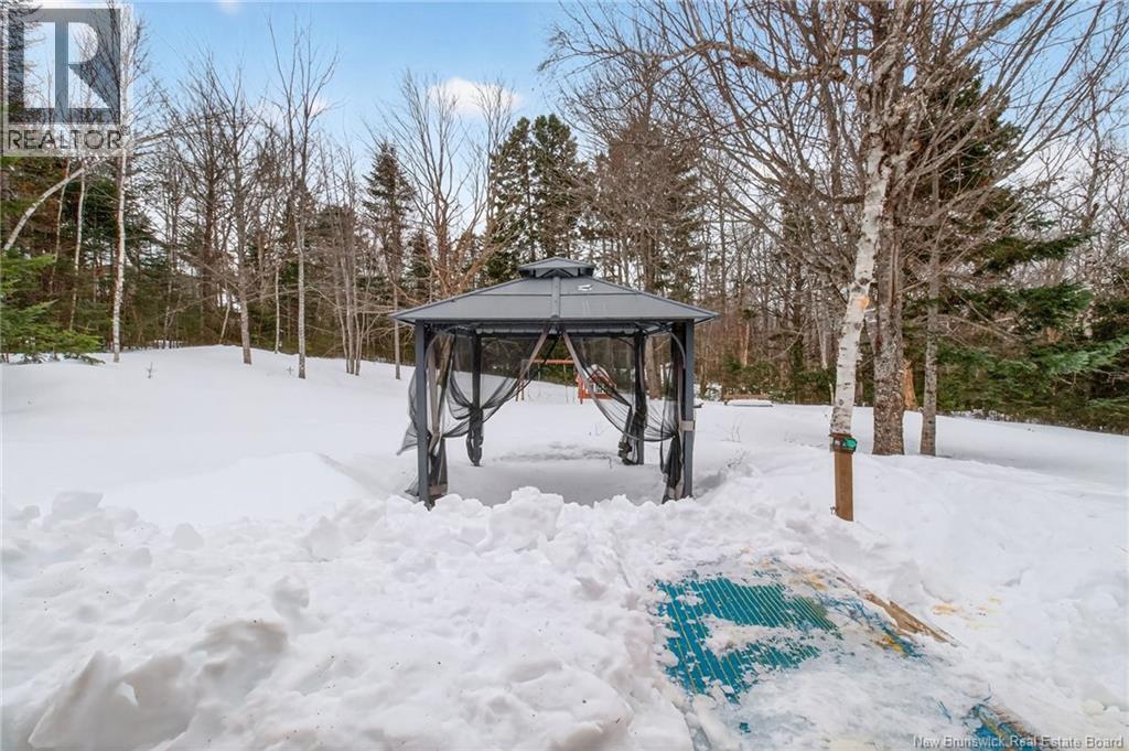 2382 Route 490, Ammon, New Brunswick  E1G 4R8 - Photo 41 - NB134743